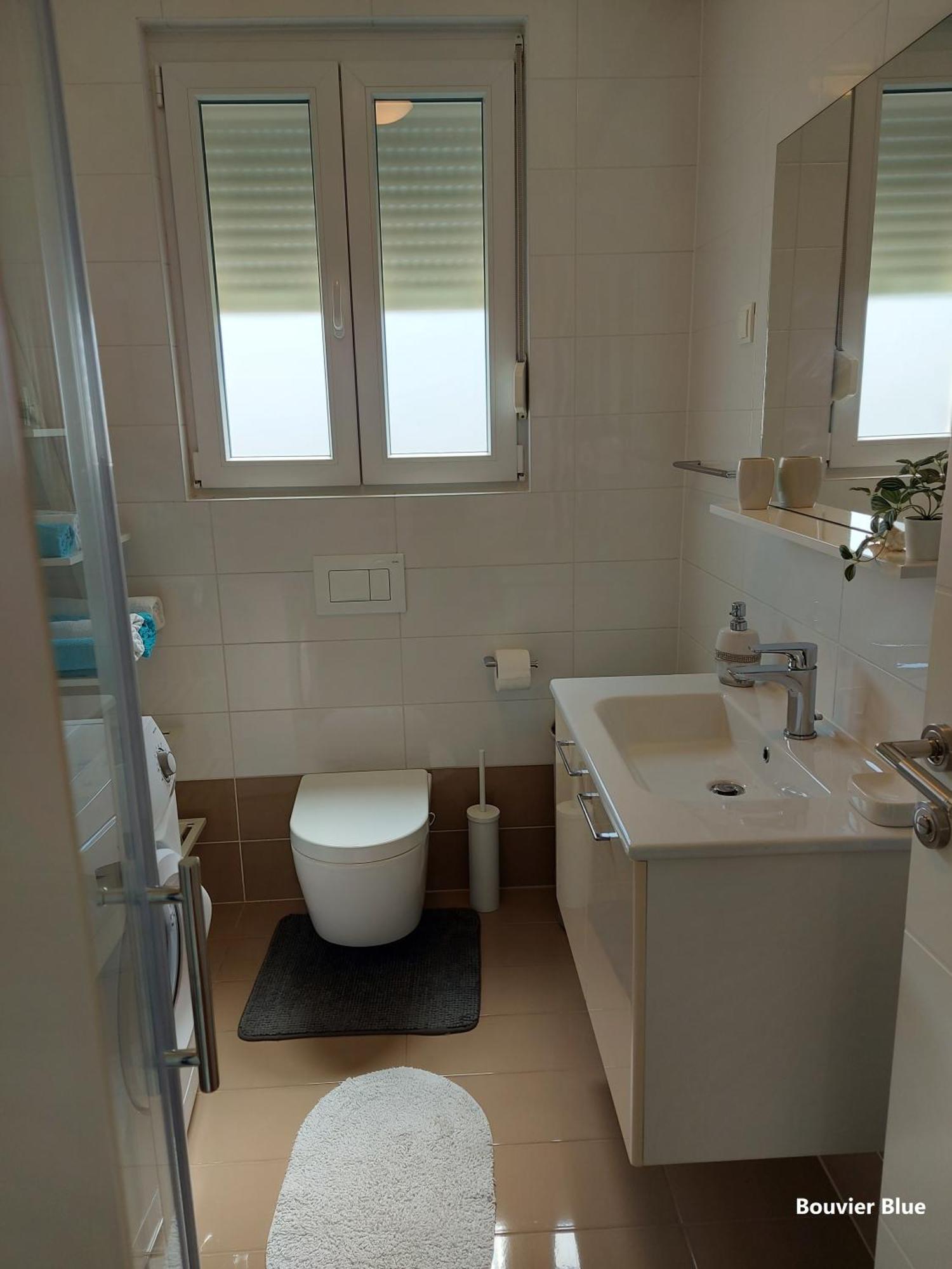 Bouvier Apartman Pag Town