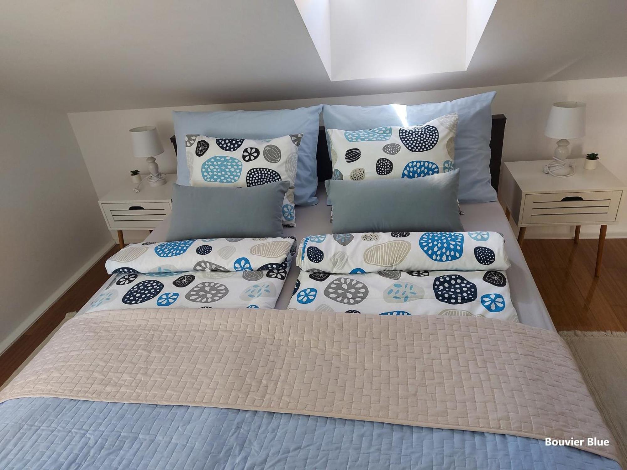 Bouvier Apartment Pag Town